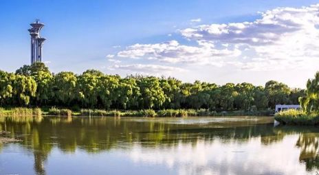 北京跑友看过来！奥森免费长跑活动即将开始！