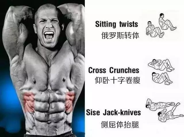 事半功倍的腹肌练习法｜每一块肌肉都有一套专属动作！