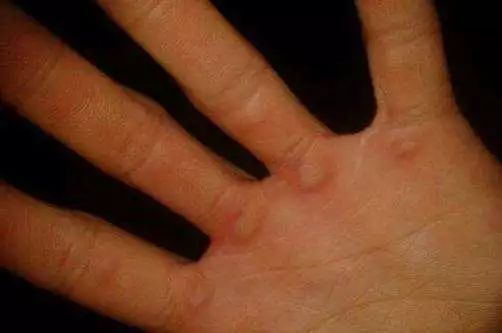 如何从容的在健身房扮老鸟？超实用的招数学起来！