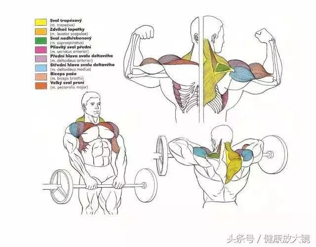 55组健身房器械动作指南！不再做“器械白痴”！