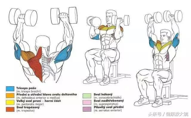 55组健身房器械动作指南！不再做“器械白痴”！