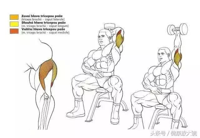 55组健身房器械动作指南！不再做“器械白痴”！