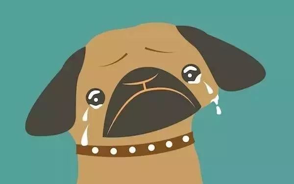 爱跑步的男生都交不到女朋友？