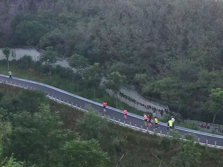 跑友分享｜跑道上铸就康复神话