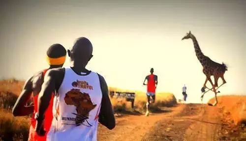 世界上最有趣的五个马拉松！你都跑过吗？