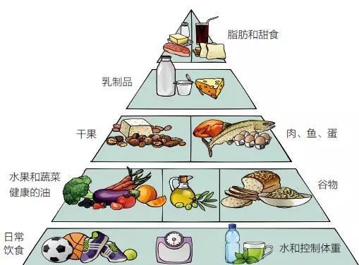 你的健康很重要，要跑也要吃！