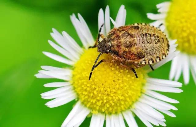 春季跑步，注意这把“温柔刀”！