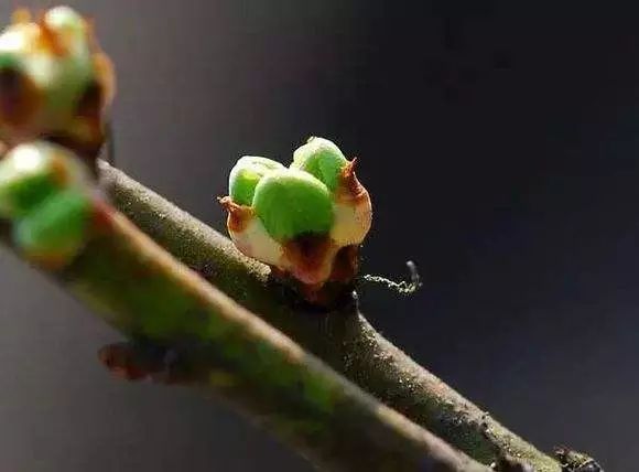 春训不及时，你将错过这5项精彩！