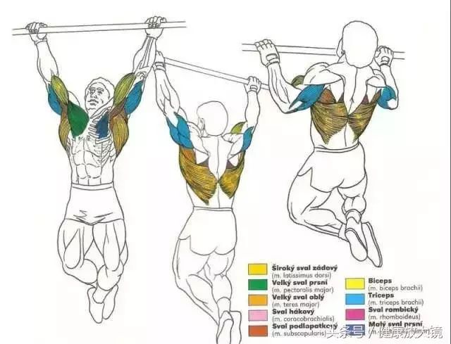 55组健身房器械动作指南！不再做“器械白痴”！