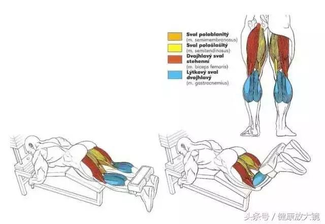 55组健身房器械动作指南！不再做“器械白痴”！
