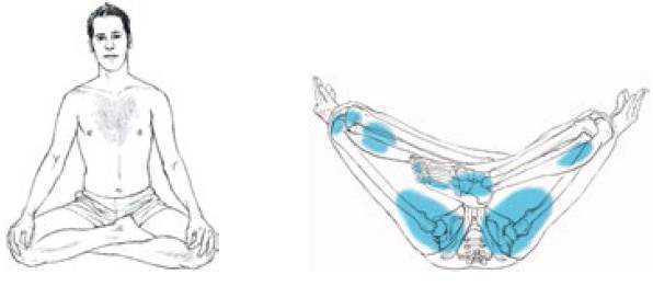 福利｜在家“摊尸”也健康？冬天运动就该这样做！