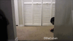 @上马完赛的你，身体酸痛要这样拉伸！