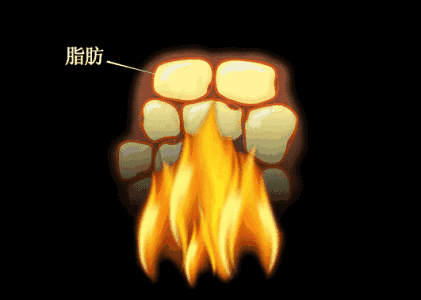 究竟哪种配速，跑步最燃脂？