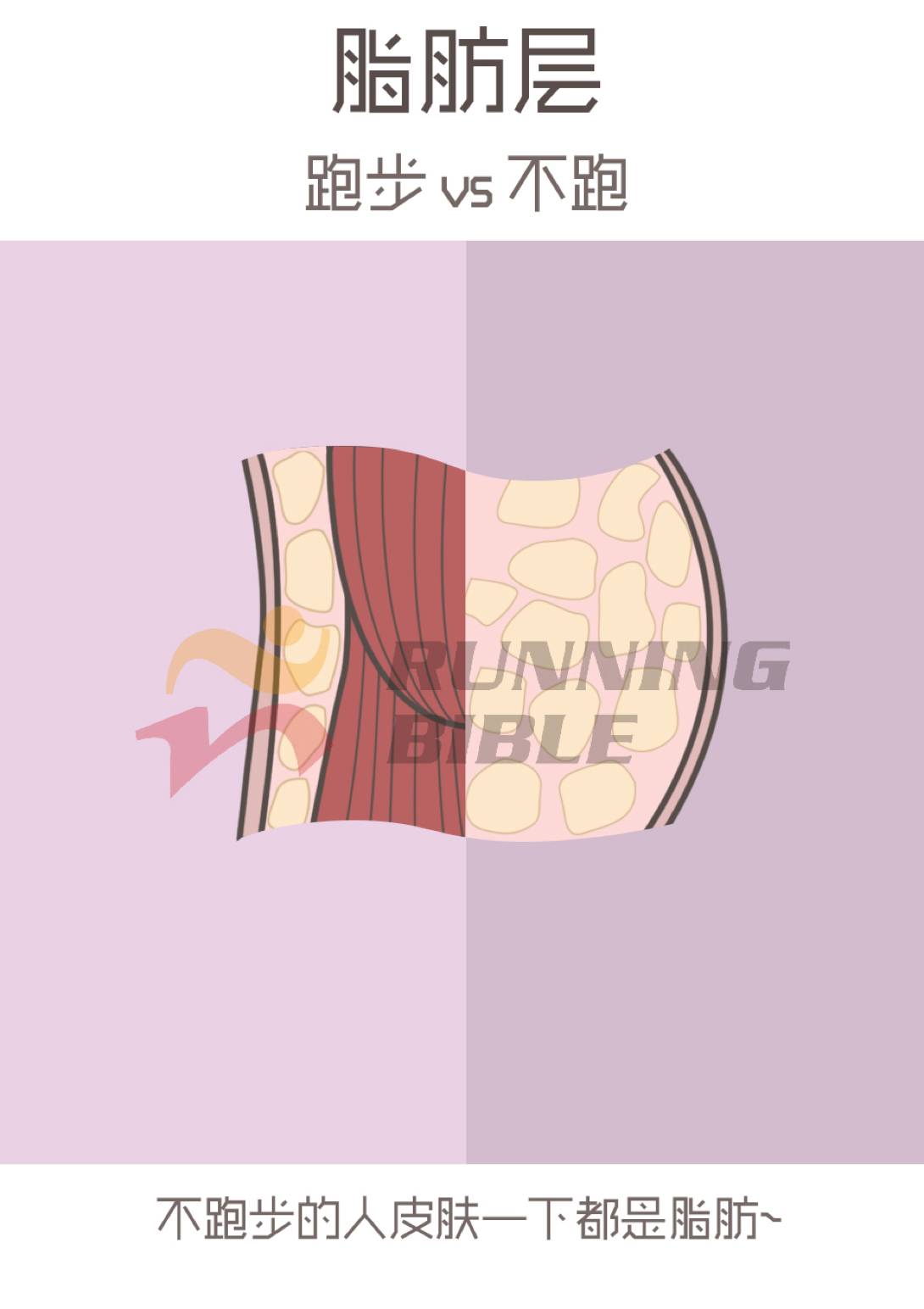跑步vs不跑！原来这么不同！