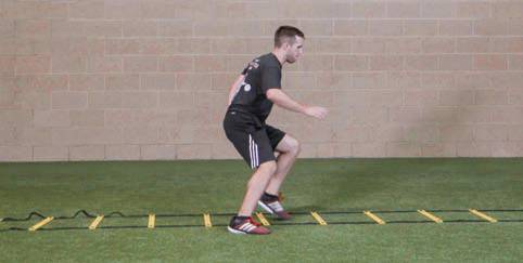 用速度说话，闪电传奇博尔特