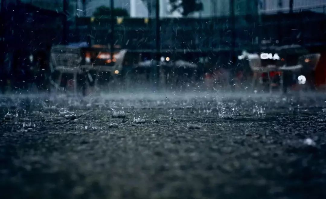 极端天气怎么跑？来看科学应对高招！