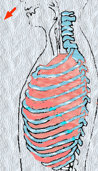 跑步呼吸法则！读懂事半功倍！