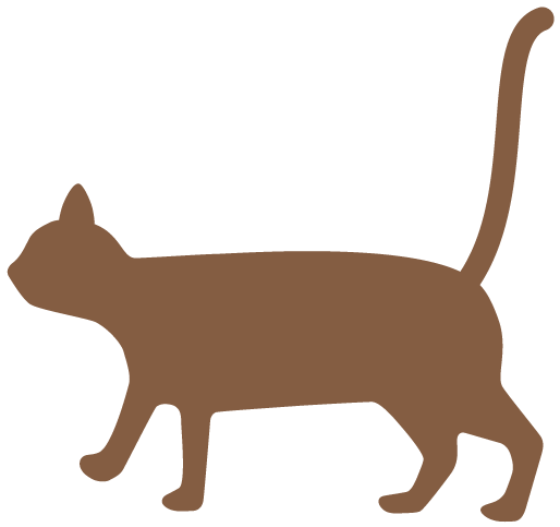 夏跑拒绝尴尬！这三点要注意喽！