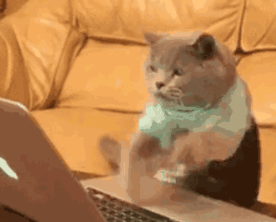 【重磅】再出发！2018凉都·六盘水夏季国际马拉松赛今天上午10:00报名通道开启！报名流程拿走不谢！