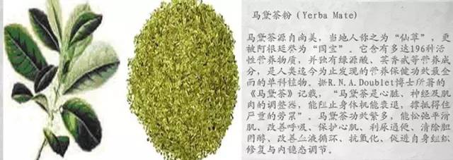 跑步旺季想PB？你要注意这个隐疾！