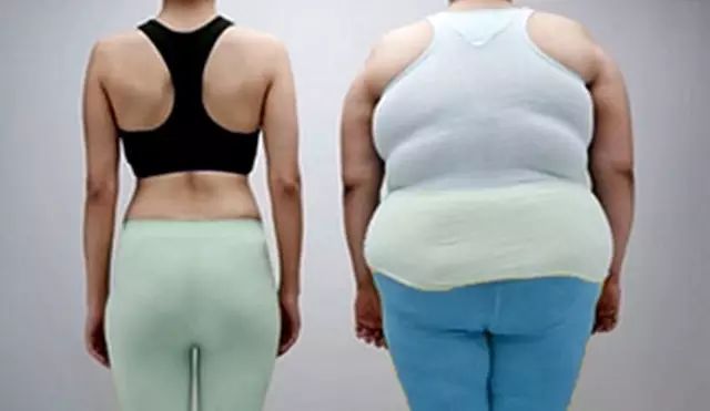 这个夏天不懒惰！别再为肥胖找借口！