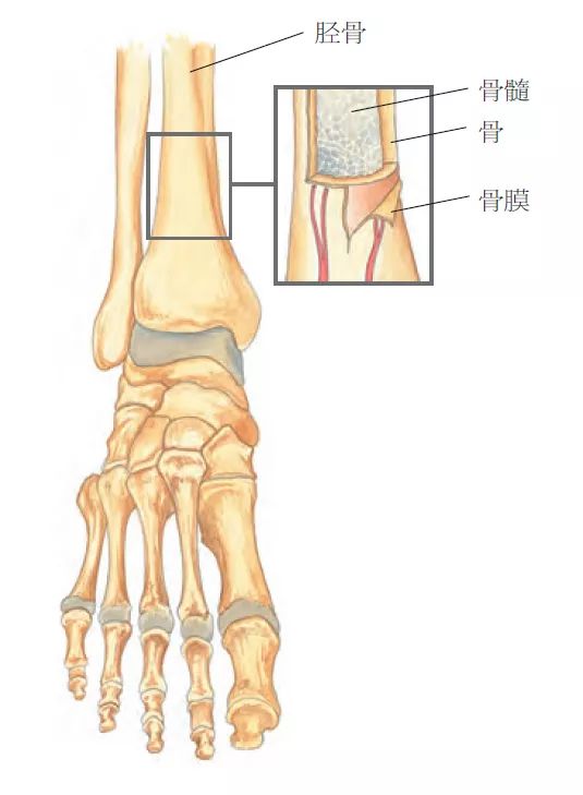 3种常见跑步损伤：一招应急+深入讲解