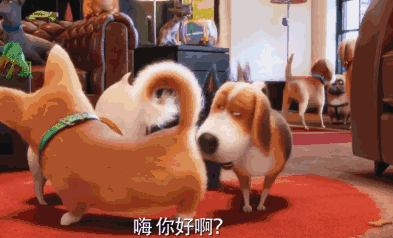 内涵福利｜你知道PACER那些霸气故事吗？