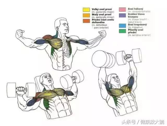 55组健身房器械动作指南！不再做“器械白痴”！