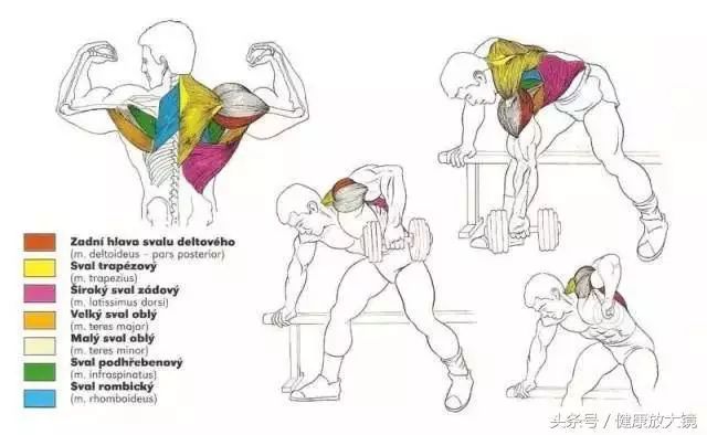 55组健身房器械动作指南！不再做“器械白痴”！