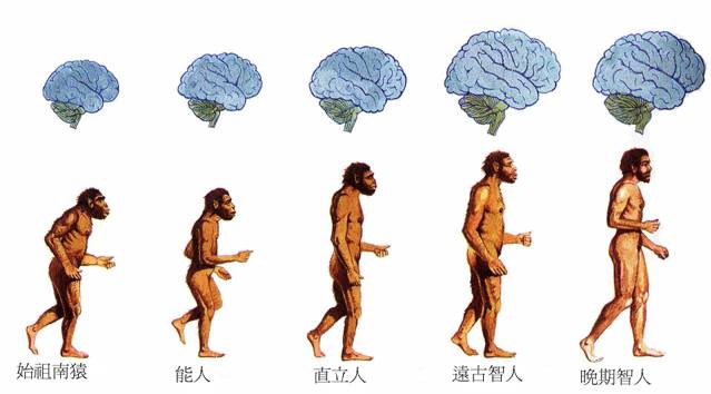 福利｜除了足底筋膜炎，我们更应该了解筋膜的这些好处！