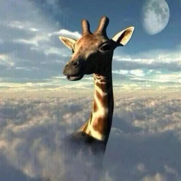 没错！这五句话，我们跑者就是不爱听！