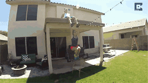 男人、老婆、狗...这个健身故事我给100分！