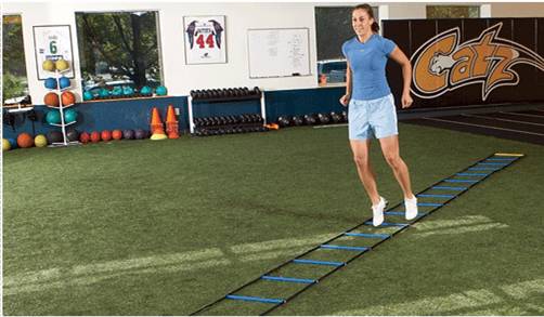 功能性训练｜你知道多少？