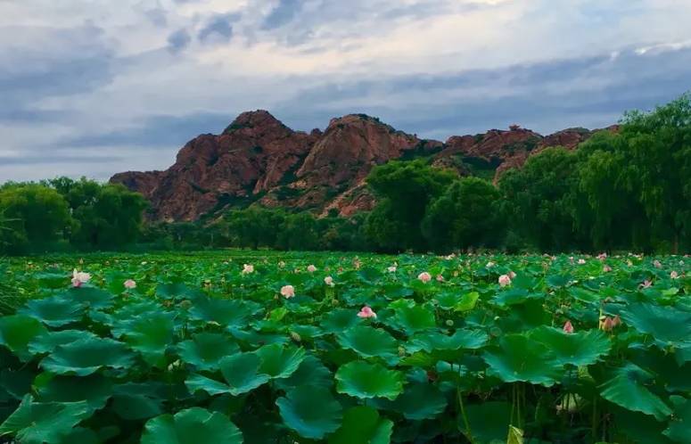 跑友分享｜奔跑路上的美小护