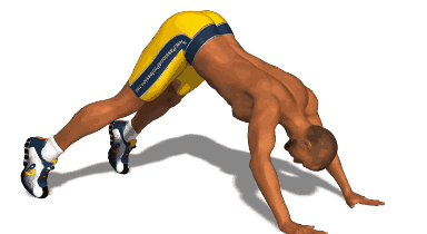 一个俯卧撑都做不起来，还能健身？