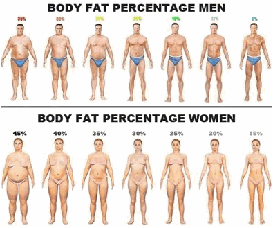 身材好不好？一个身体指数告诉你！