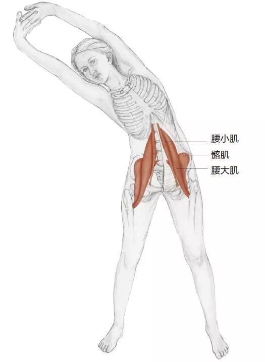 久坐腰疼？你该知道这些了！