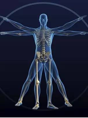 应该怎么跑！你的骨骼告诉你！