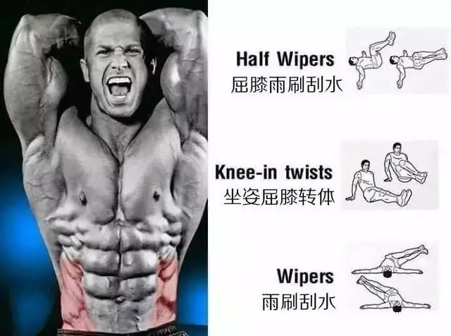 事半功倍的腹肌练习法｜每一块肌肉都有一套专属动作！