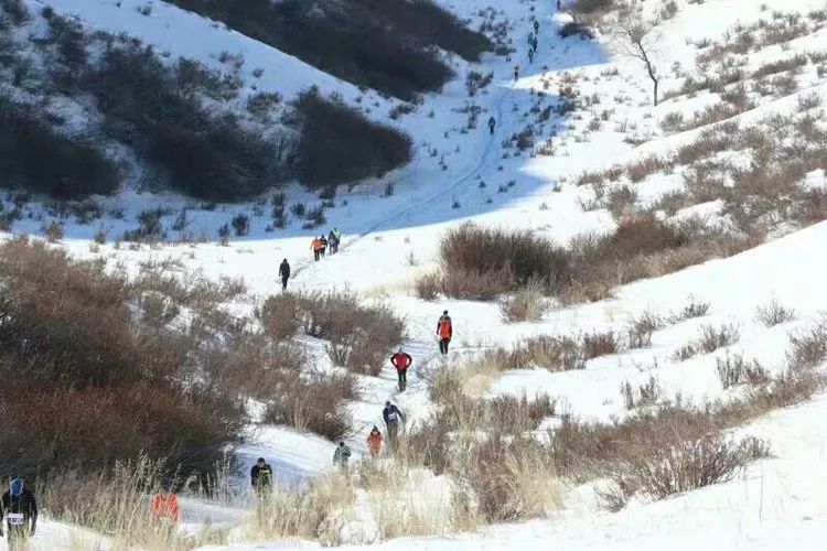 跑友分享｜2018迎新年乌鲁木齐冰雪马拉越野赛记忆