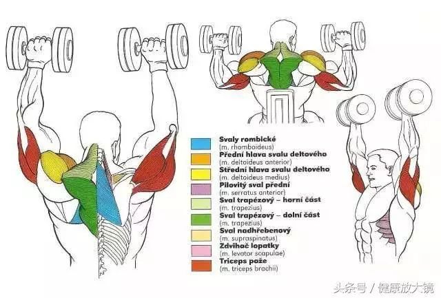 55组健身房器械动作指南！不再做“器械白痴”！
