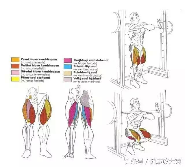 55组健身房器械动作指南！不再做“器械白痴”！