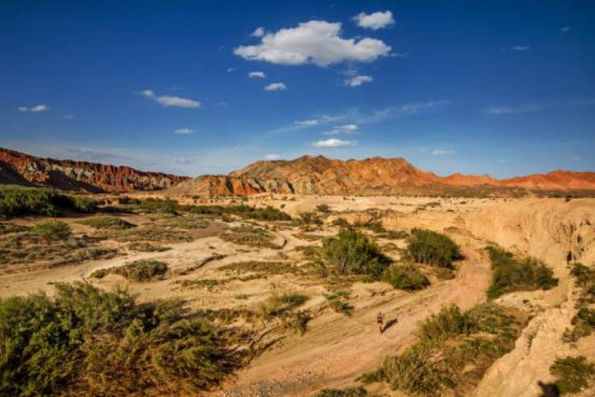 【福利】勇者无畏！破心魔之战，为这些跑神大咖投票吧