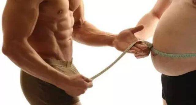 减脂&增肌，真的能同时进行吗？