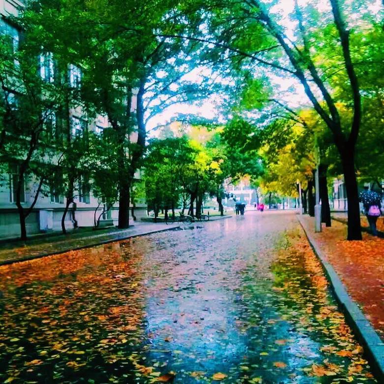 跑友分享｜奔跑路上的美小护