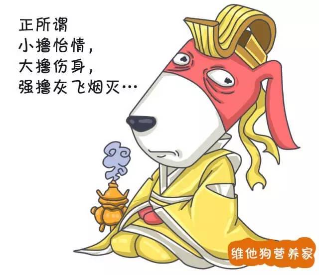 撸烤串不伤身的正确姿势，与烧烤里的致癌物说拜拜