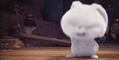 内涵福利｜你知道PACER那些霸气故事吗？