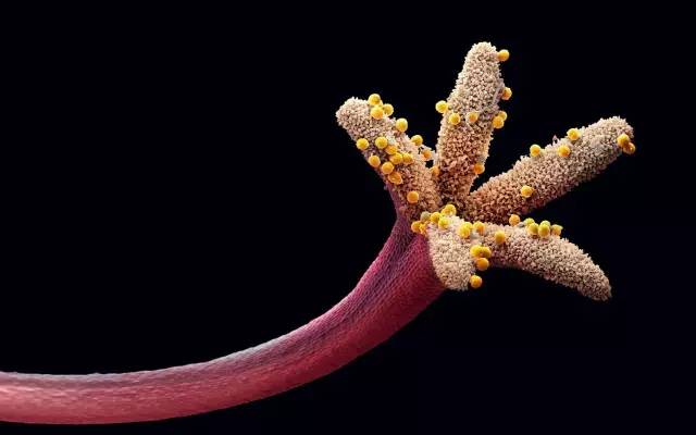 春季跑步，注意这把“温柔刀”！