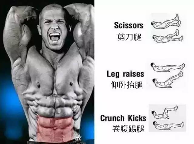 事半功倍的腹肌练习法｜每一块肌肉都有一套专属动作！