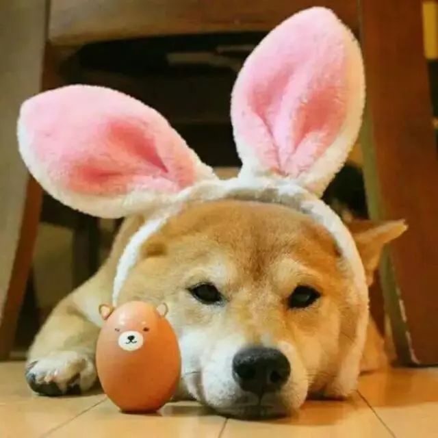 内涵福利｜关于早餐的跑者问答